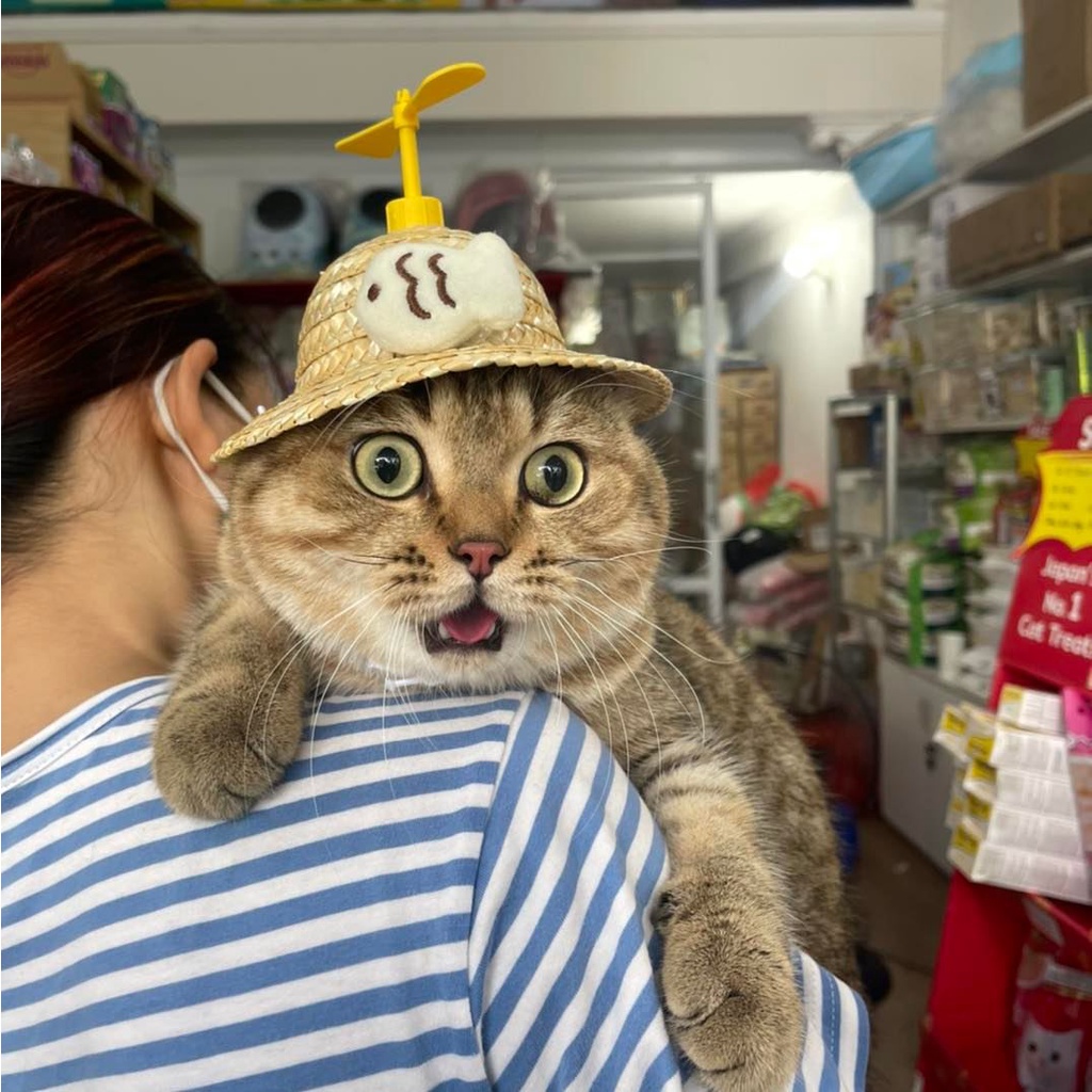 Mũ cói chong chóng cho thú cưng