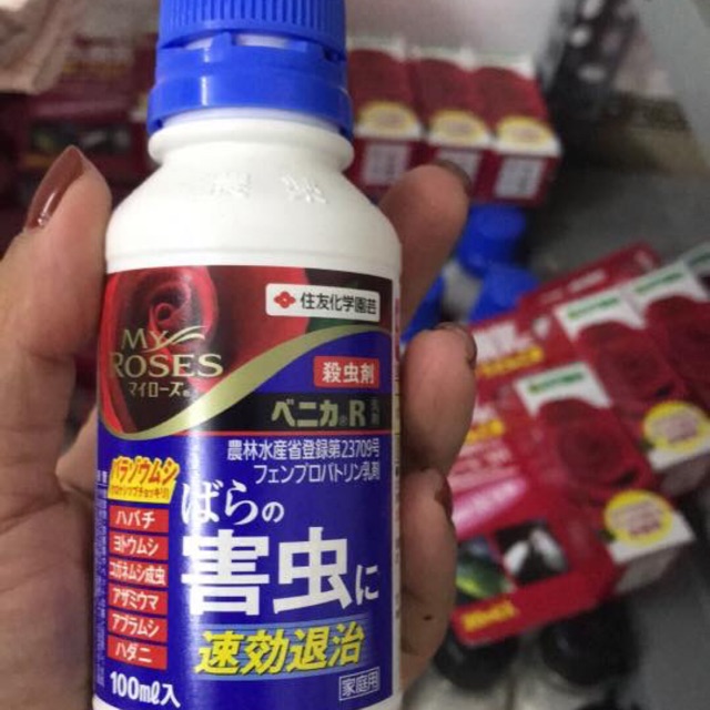 Sản phẩm trị nhện, trĩ đến từ Nhật Bản