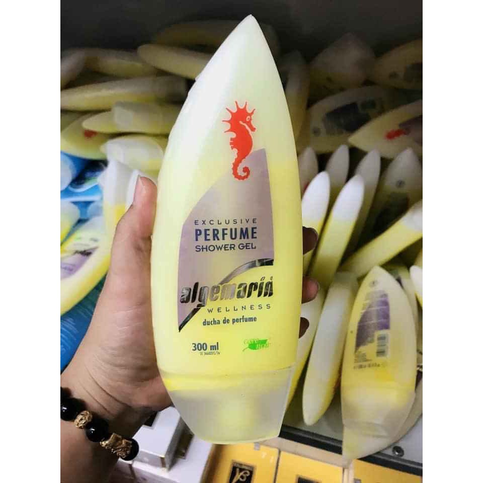 Sửa tắm cá ngựa