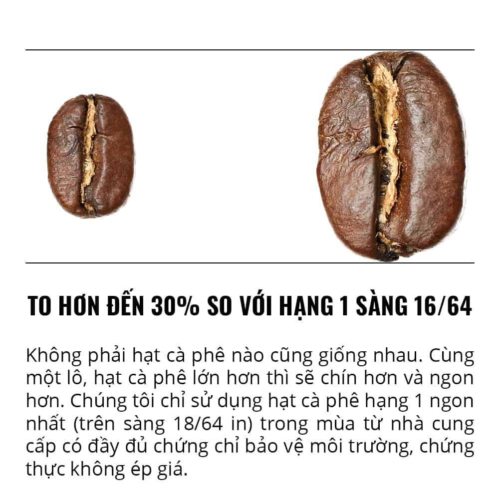 Cà Phê Nguyên Hạt Hạng 1 Sàng 18/64 in Thunder No.4 Trọng lượng 220g - 1864 CAFÉ | BigBuy360 - bigbuy360.vn