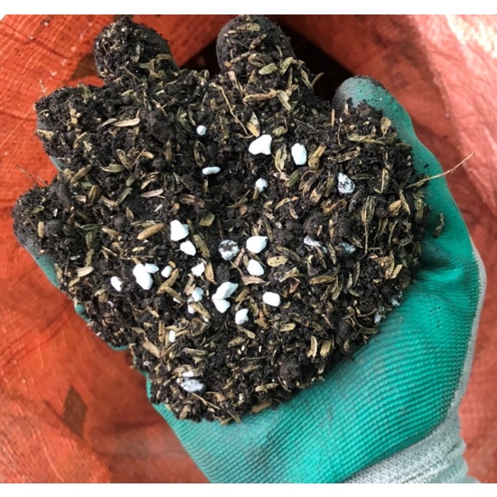 Đất sạch phù sa Aber, túi 10kg, nhiều trấu, giàu dinh dưỡng trồng cây(Vui lòng chỉ mua 1 bao 1 đơn vì nặng lắm ạ)