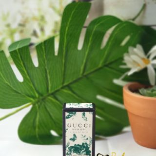 [Siêu hiếm] Nước hoa mini nữ Gucci Bloom Xanh 5ml