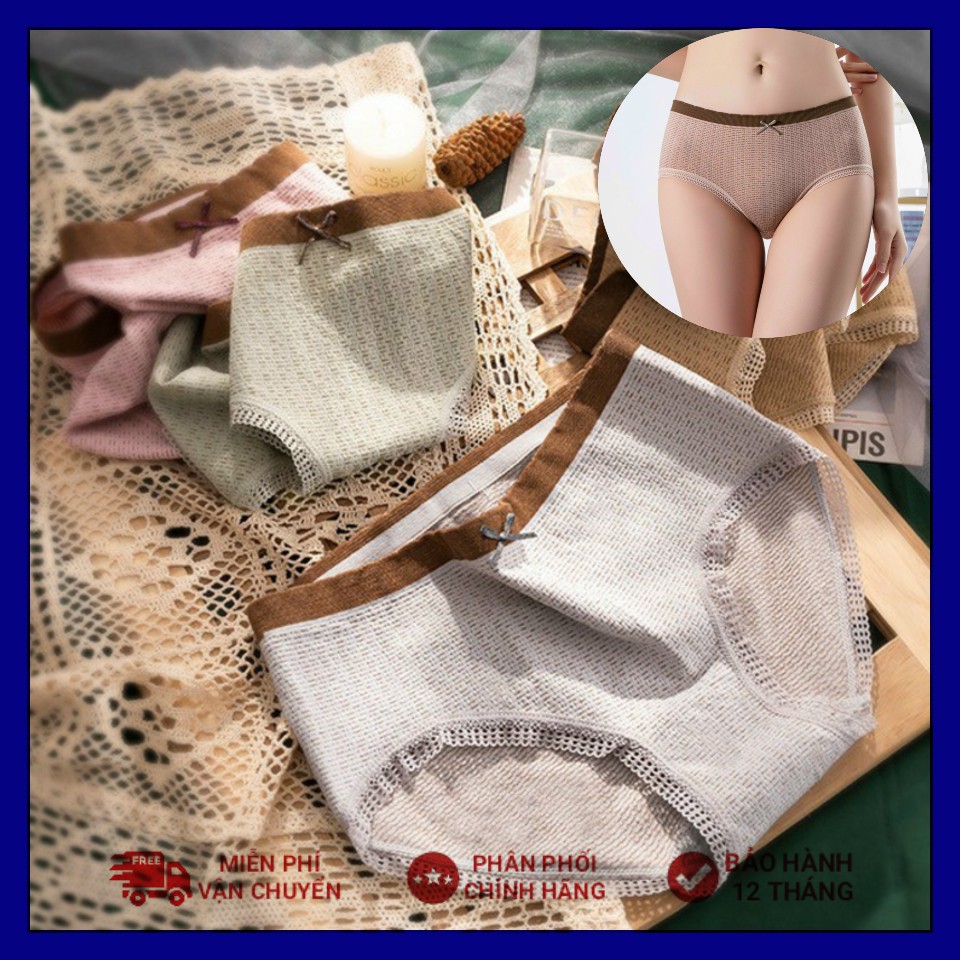 Quần lót nữ Cotton thông hơi viền nâu nơ co giãn 4 chiều, Quần Chíp Nữ Rẻ Đẹp Loại 1