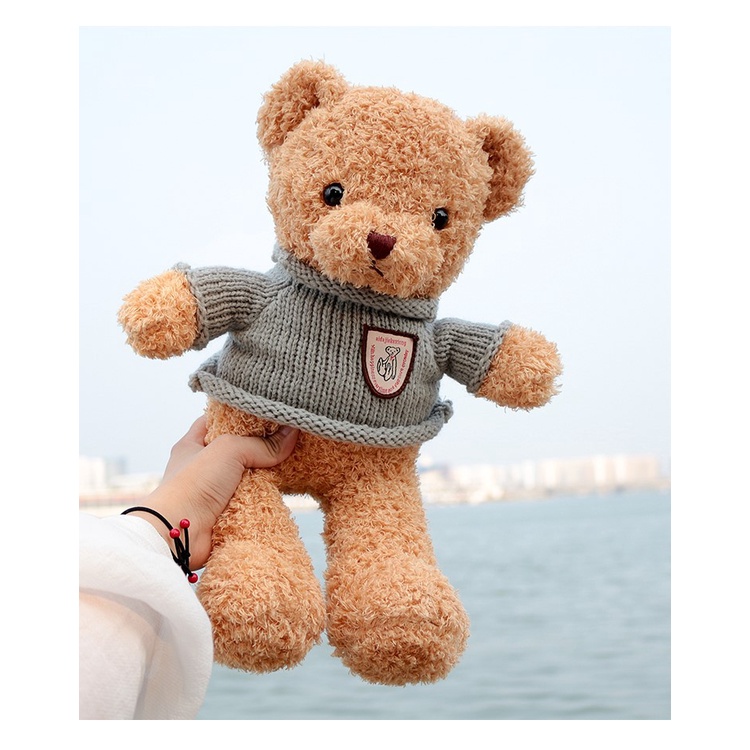 Thú nhồi bông Gấu bông Teddy Bear size 30cm 50cm 70cm
