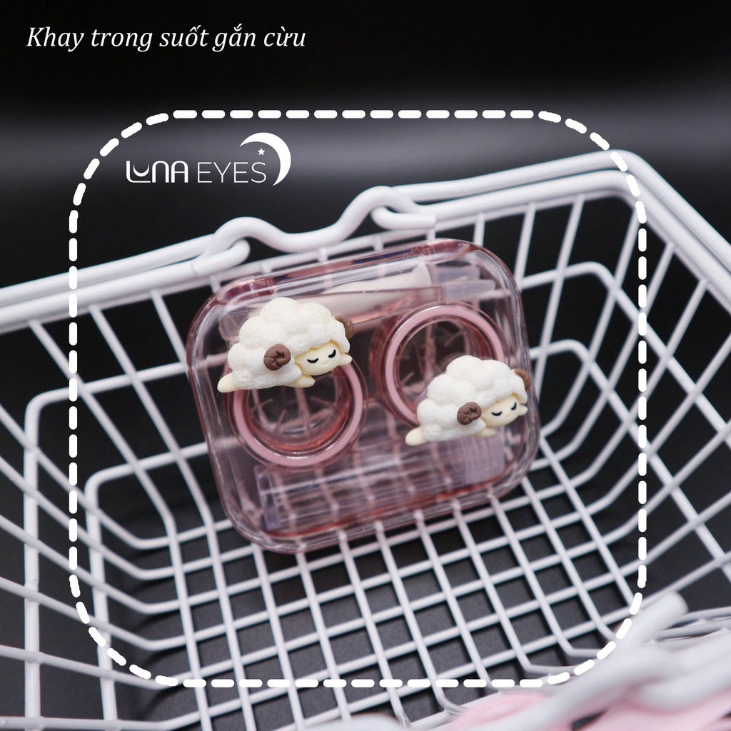 KHAY ĐỰNG LENS TRONG SUỐT GẮN NƠ - GẮN CỪU Kèm dụng cụ đeo lens