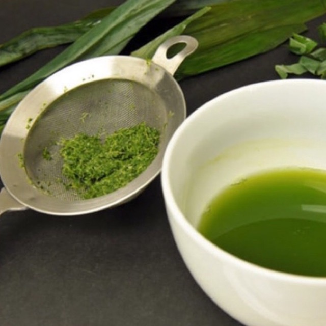 Cây lá nếp  để đồ xôi, tạo màu