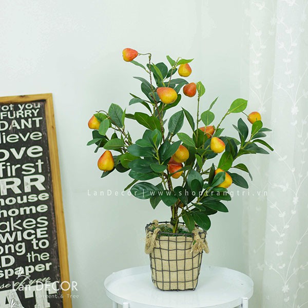 Cây giả - Cây chanh mỹ, đào, lê vàng, lê má hồng để bàn, trang trí tự nhiên như thật LanDecor | BigBuy360 - bigbuy360.vn