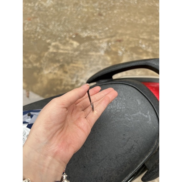 Lưỡi Săn Hàng - Chuyên Săn Trắm Đen