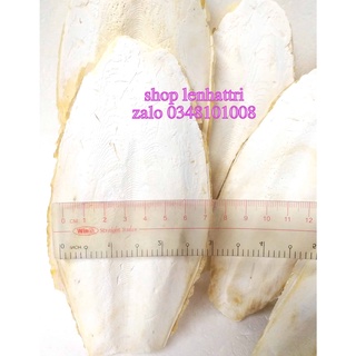 Nang mực thay cho thạch cao phi làm thực phẩm