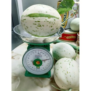 Hạt giống dưa lê đốm sữa Hàn Quốc(feedback ảnh cuối)
