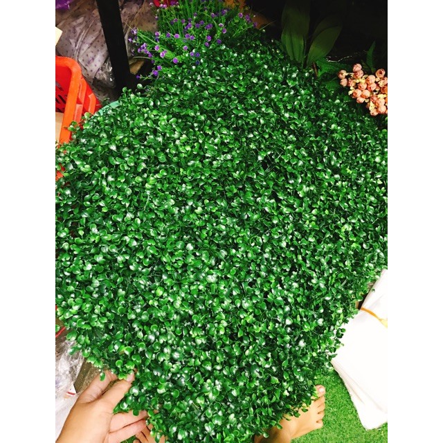 Thảm cỏ nhân tạo - Thảm cỏ xoong nhân tạo pvc kích thước 60x40cm - Hoa Lụa Duy Minh