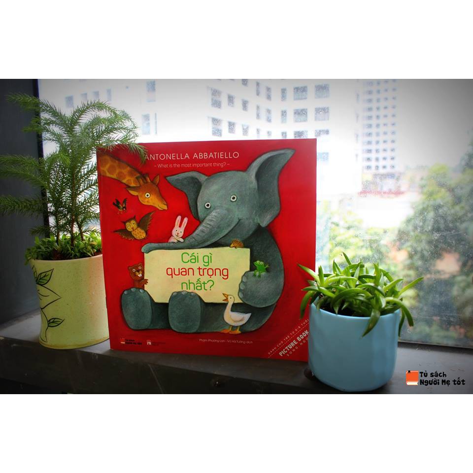 Sách - Combo song ngữ Cốc cốc cốc - Chú cừu xanh lá - Cái gì quan trọng nhất | BigBuy360 - bigbuy360.vn