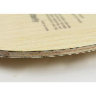 Vợt bóng bàn VISCARIA FL / CS