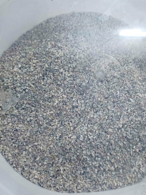 Khoáng Mineral Grit cho yến , Finch , vẹt 100g/15k