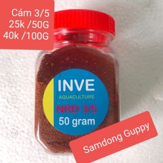 Cám Thái inve 3/5 Thái Lan
