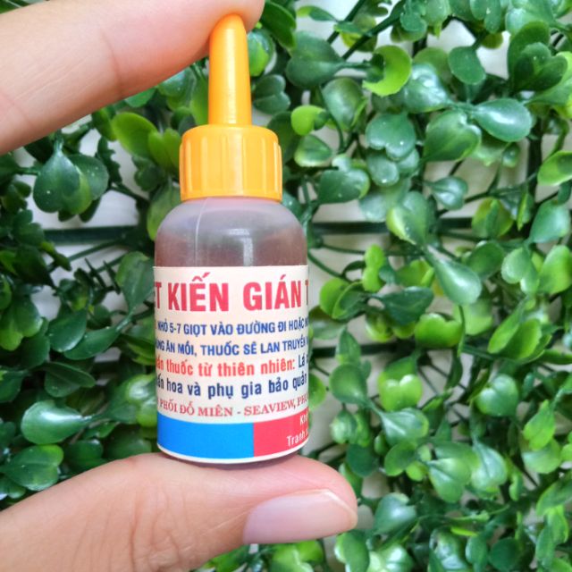 Thuốc diệt kiến gián tận gốc từ thiên nhiên