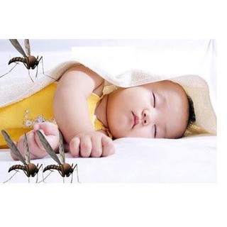 Tinh dầu tràm cao cấp Hoa Nén