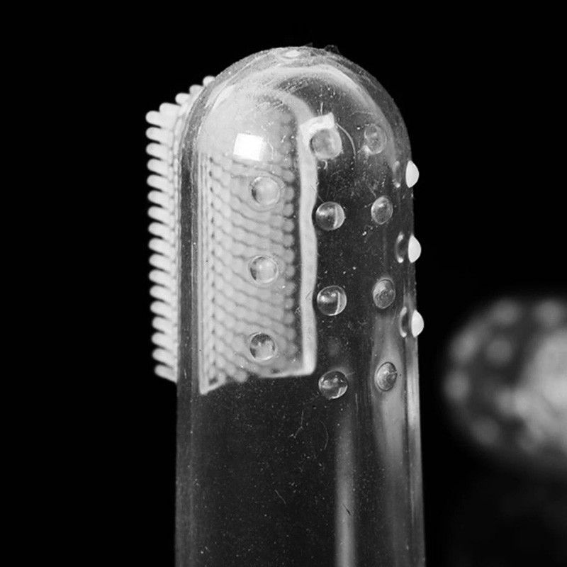 Bàn chải đánh răng cho thú cưng