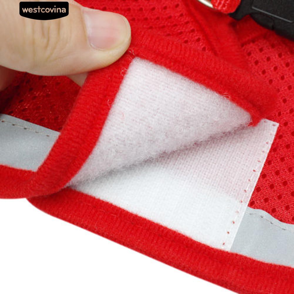 Dây Dắt Thú Cưng Đi Dạo Có Thể Điều Chỉnh Được