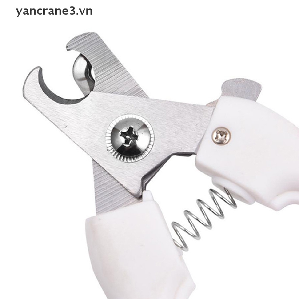 Móng Tay Bằng Thép Không Gỉ Cho Thú Cưng