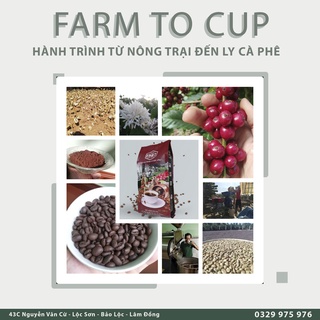 Cà phê truyền thống 1987 - Loại 1