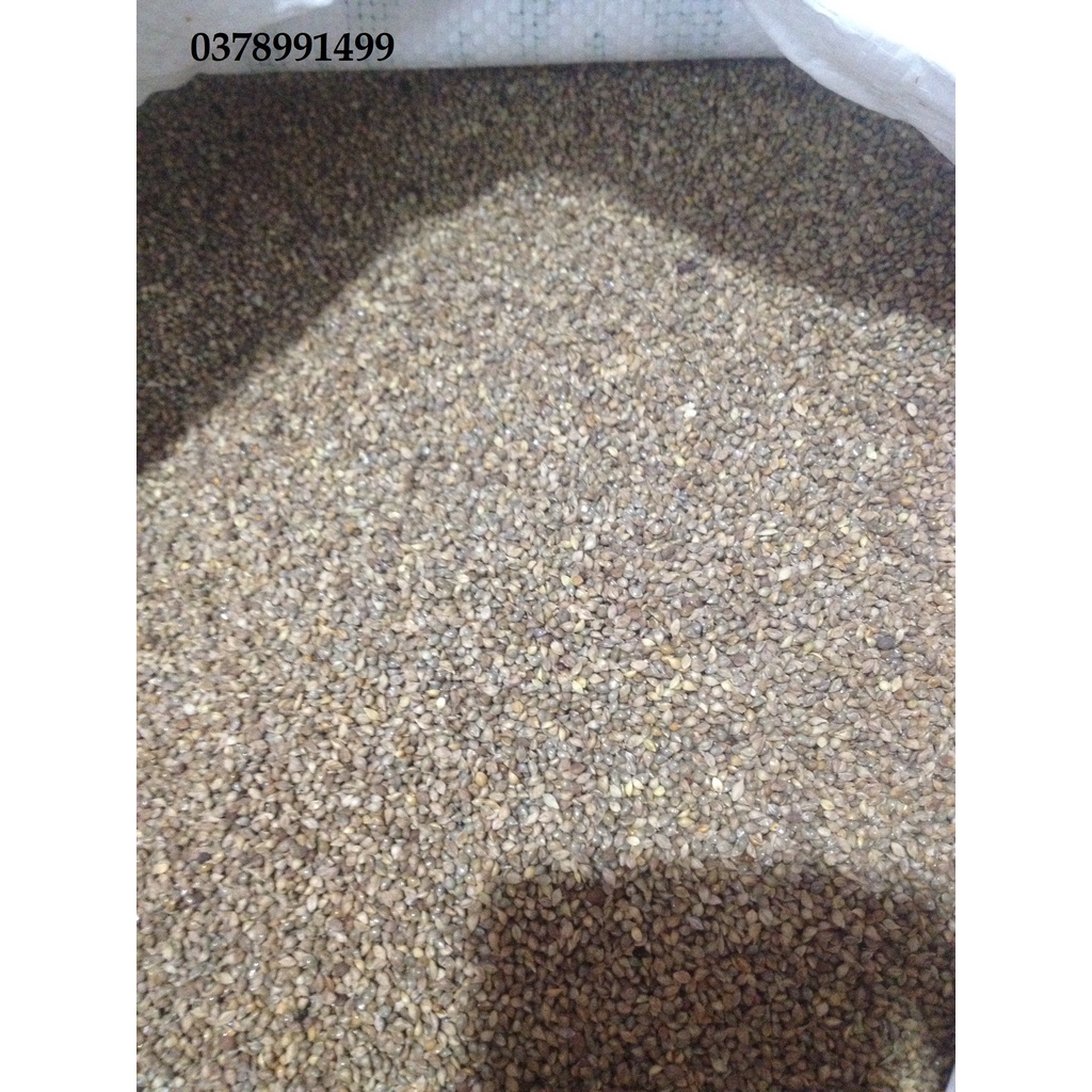 1kg hạt kê nhật - dinh dưỡng cho các dòng finch, yến, bảy màu