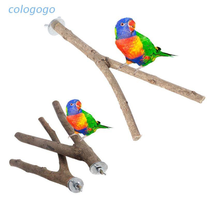 1 Bộ 15 / 20 Cành Cây Gỗ Đứng Cho Lồng Chim Vẹt / Hamster