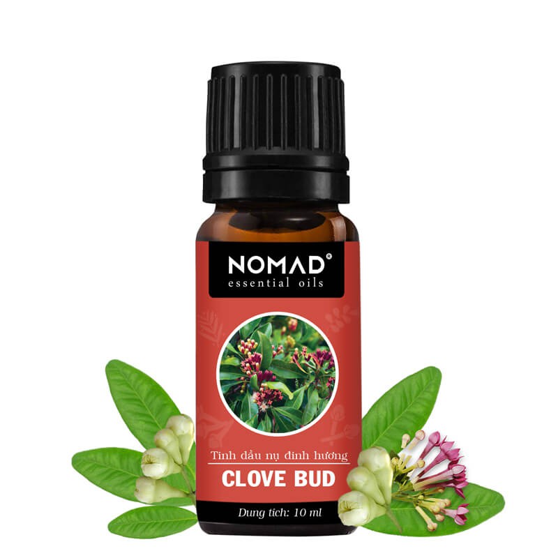 Tinh Dầu Thiên Nhiên Đinh Hương Nomad Clove Bud Essential Oil