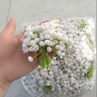 Cụm baby trắng làm vòng hoa đội đầu