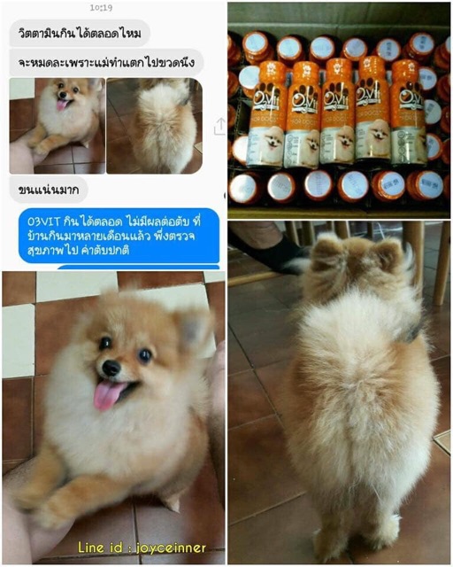 Siro kích thích thèm ăn, Bổ Sung Vitamin &amp; Omega3 cho chó