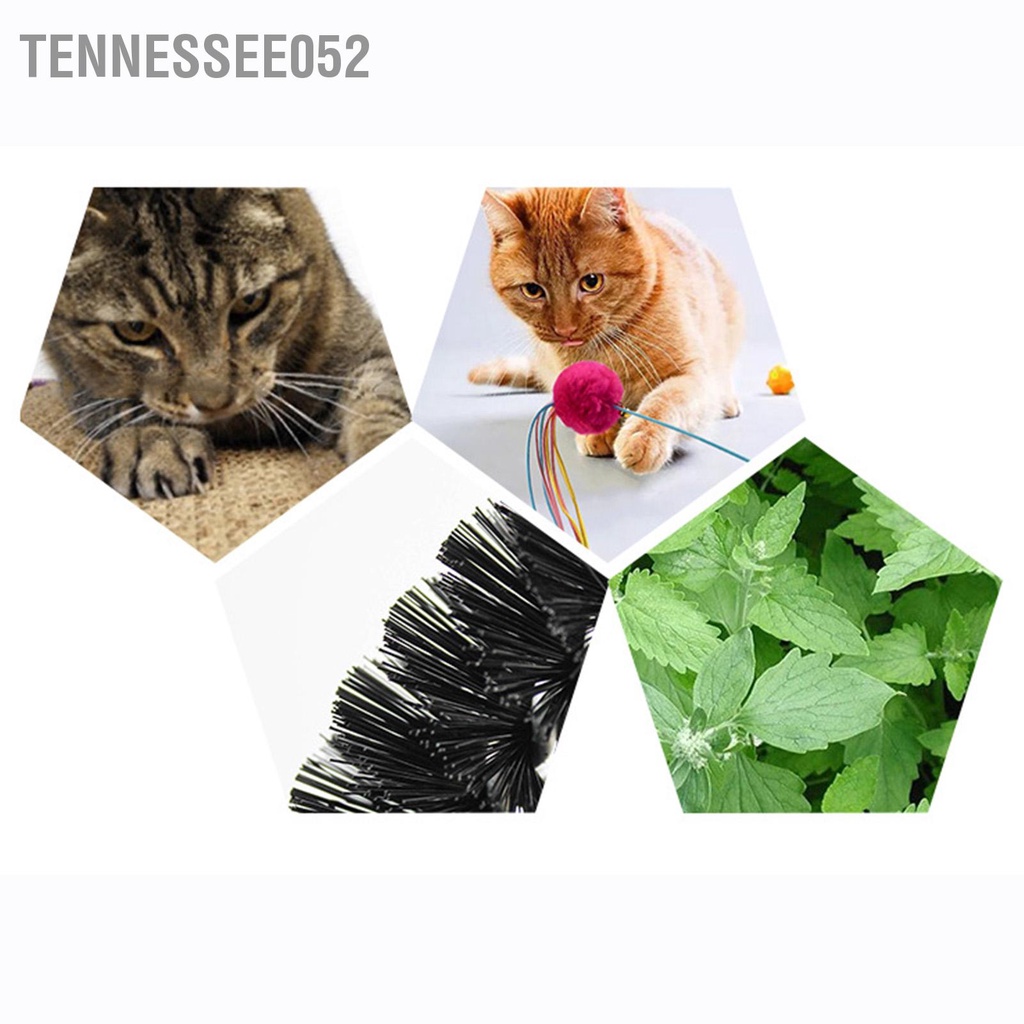 [Hàng Sẵn] Trụ gãi ngứa cho mèo, Đồ chơi cù cho mèo【Tennessee052】
