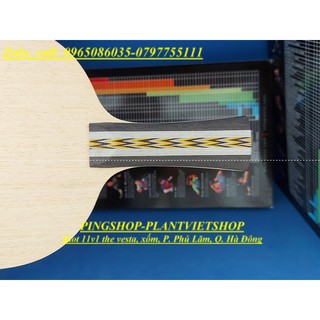 [PlantViet] CỐT VỢT BÓNG BÀN DONIC EXCLUSIVE CARBON