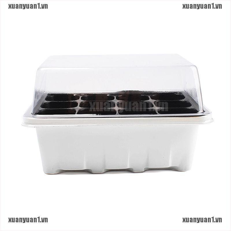 Set 3 Khay Gieo Hạt Trồng Cây 12 Ngăn Tiện Dụng