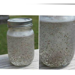{ 1KG } CHIA TÍM ABSOLUTE ORGANIC ÚC