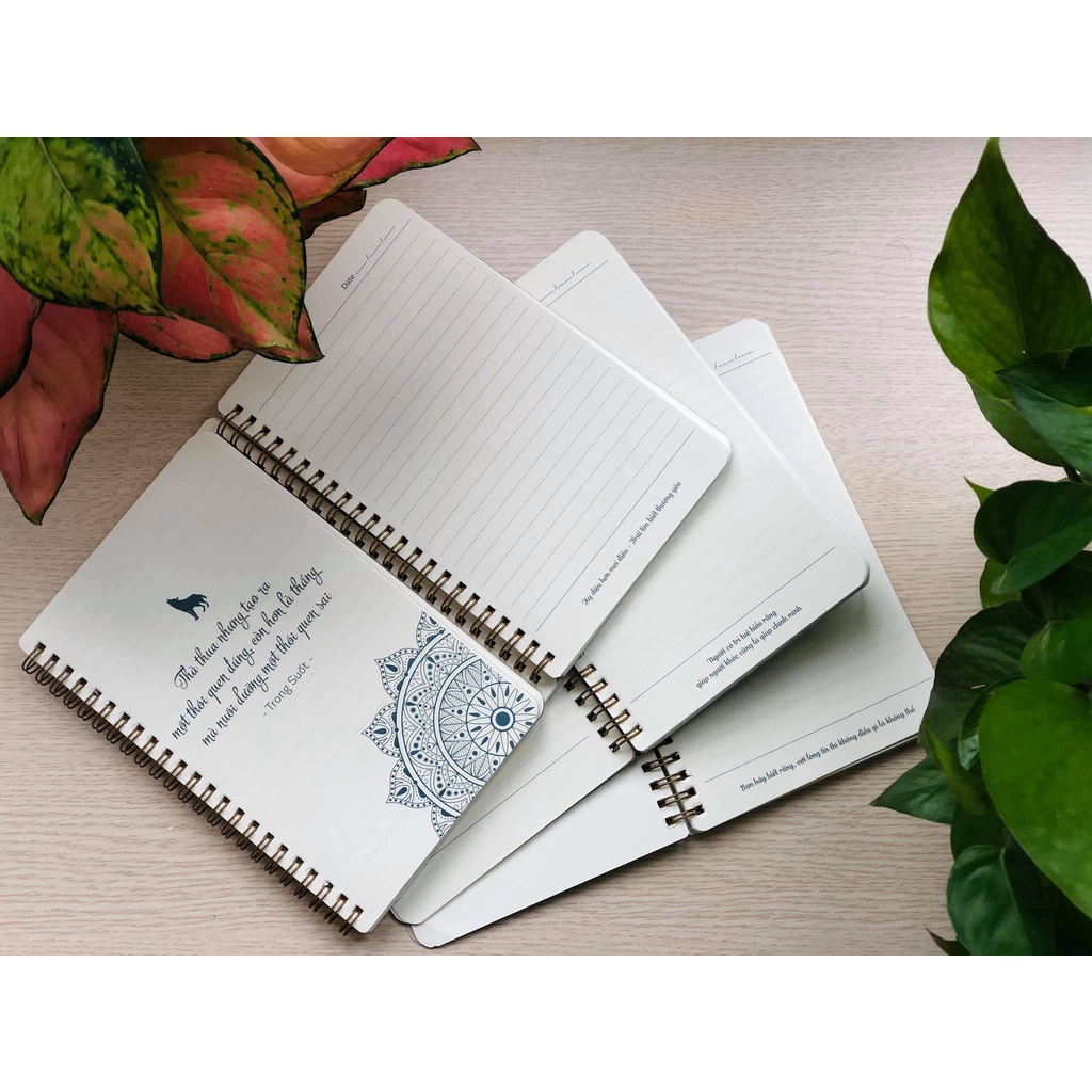 Sổ &quot;Thành công chân thực&quot; với các thông điệp truyền cảm hứng Trong Suốt - Sổ gáy lò xo notebook A6, bìa giấy cứng + mica