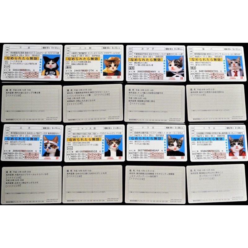 COD - CÓ SẴN PACK ẢNH SƯU TẦM MÈO RANDOM SIÊU CẤP ĐÁNG YÊU