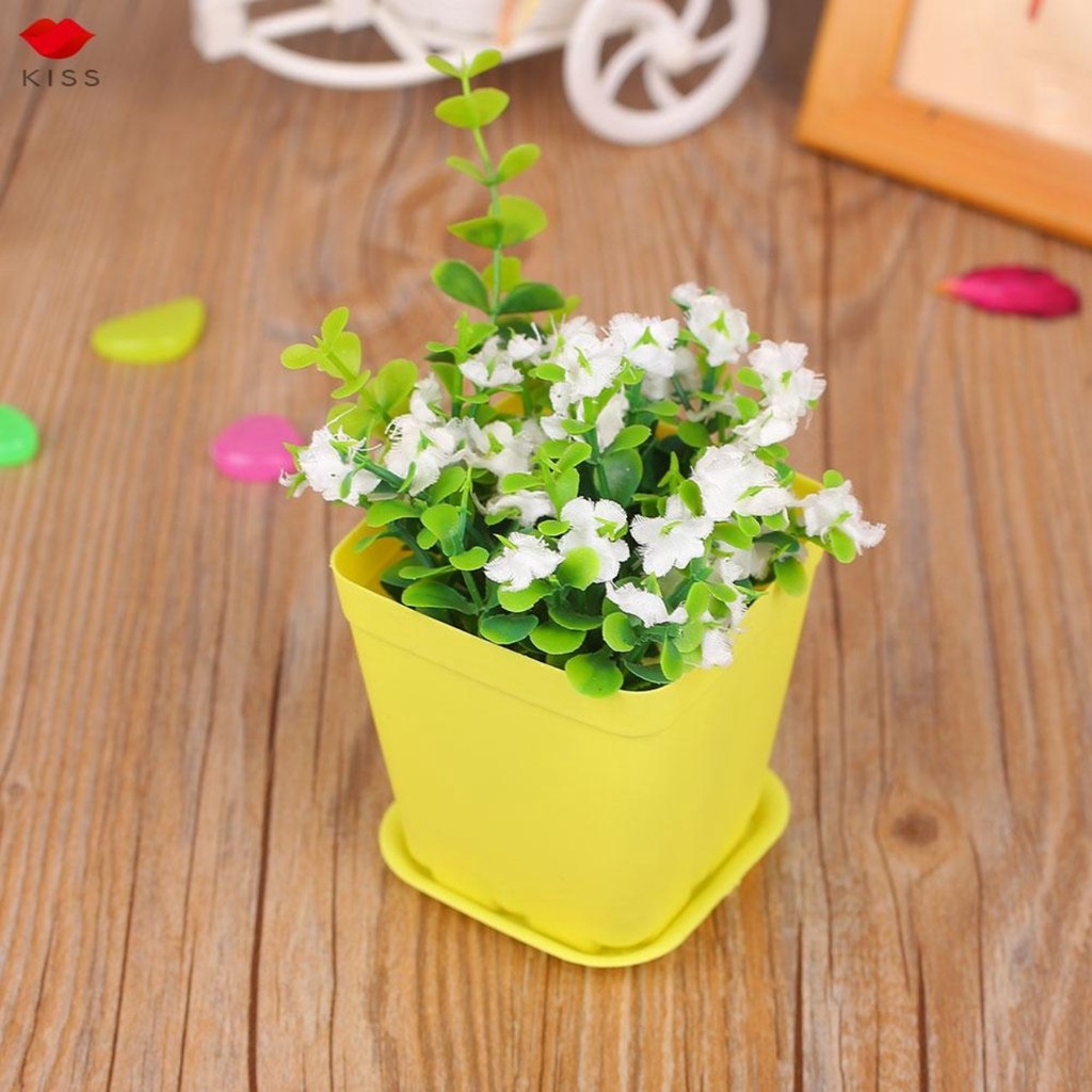 Chậu trồng sen đá ❤️ chậu nhựa ❤️ đường kính 12*12 cm 7 màu trang trí đẹp mắt