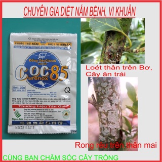 Thuốc trừ Nấm diệt khuẩn cho cây trồng COC 85 20g