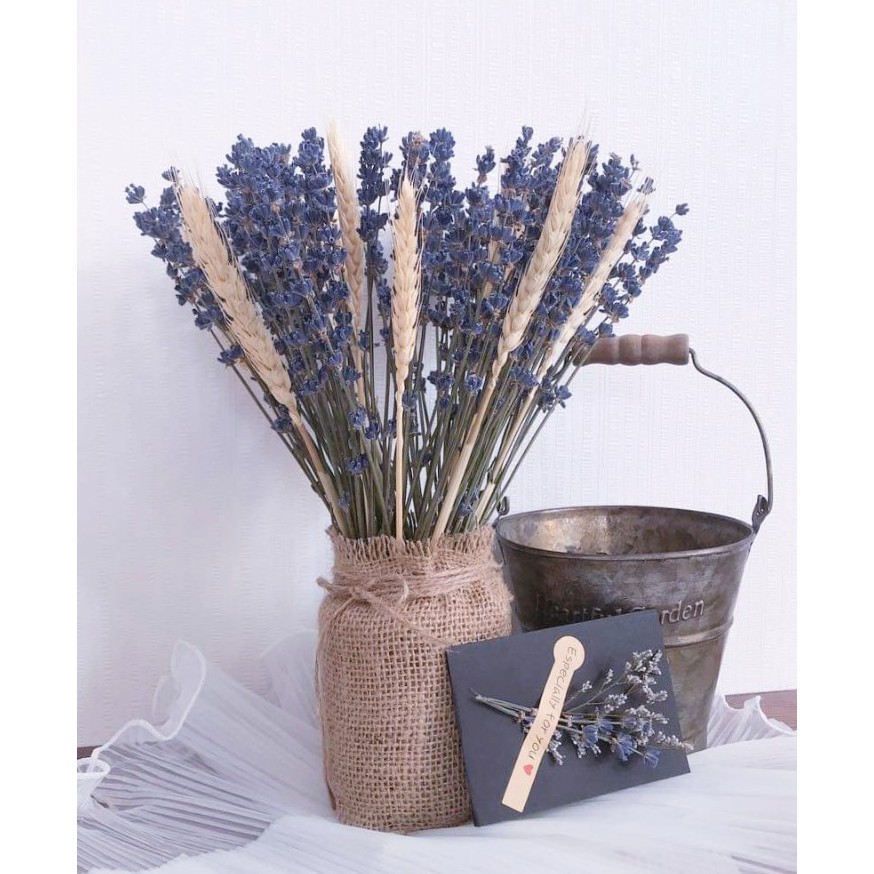 Bó hoa Oải Hương - Lavender khô 100g (Nhập Pháp và Nhập Anh)