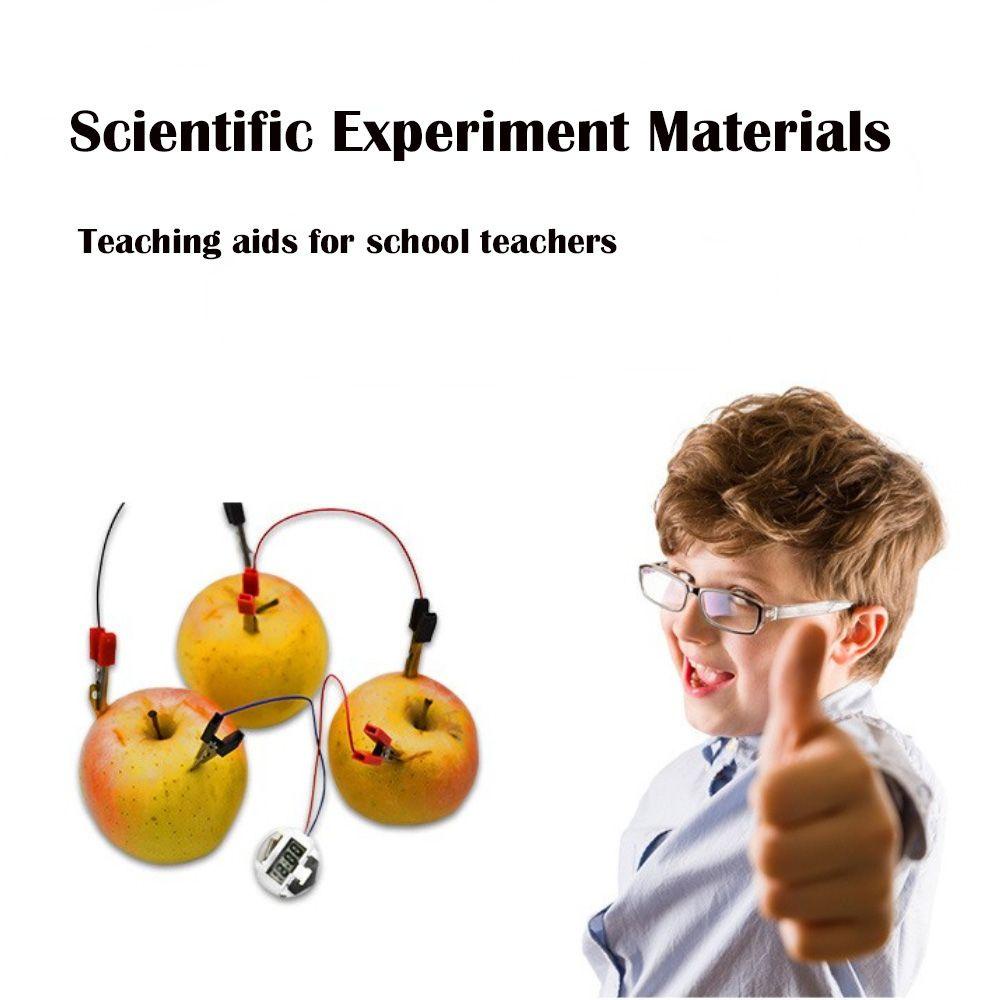 Bộ Dụng Cụ Thí Nghiệm Khoai Tây Biologia Khoai Tây Năng Lượng Cho Giáo Viên