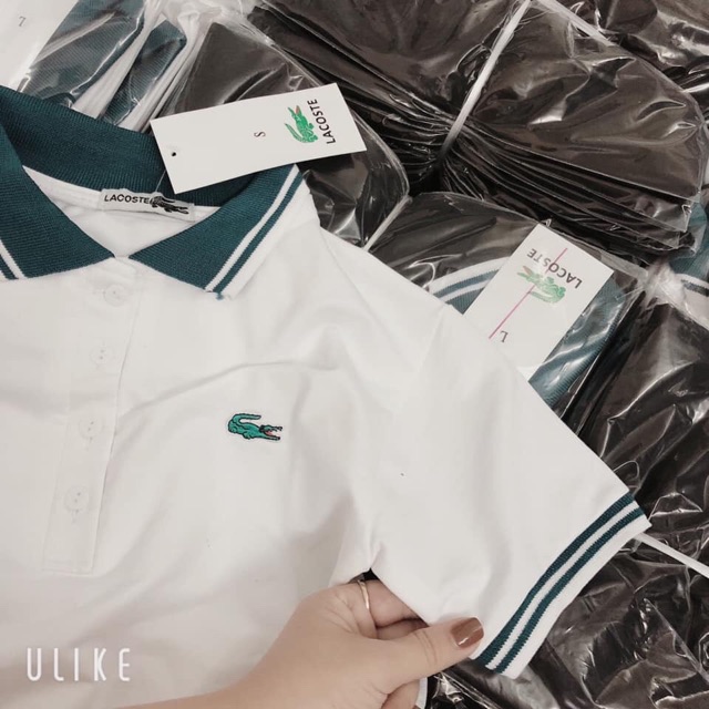 áo Polo thêu Lacosteeee