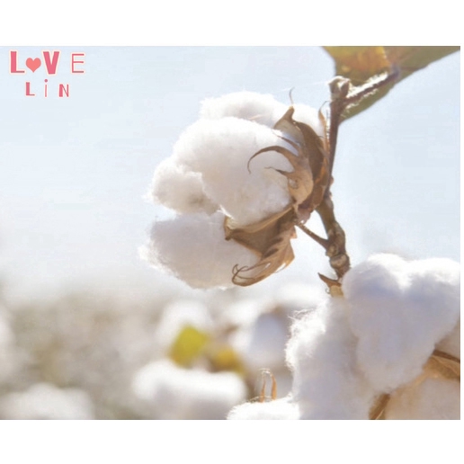 [Hàng mới về] Khăn lau mặt dạng nén dùng một lần tiện lợi dùng khi đi du lịch