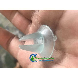 Hít kính ngăn hồ cá