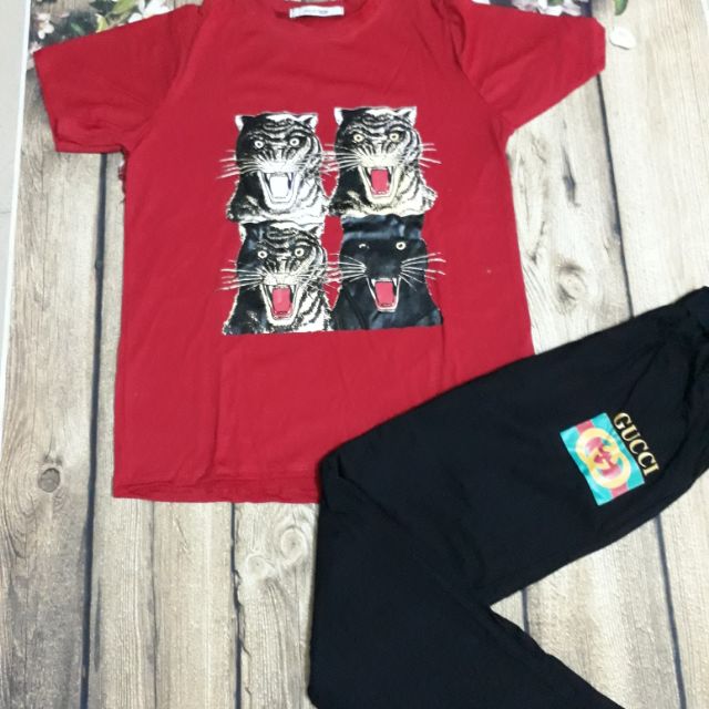 Combo ( bộ, áo , váy)