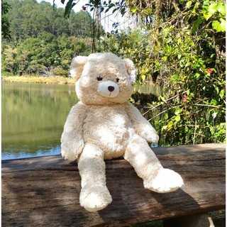 Gấu nhồi bông teddy - 60cm