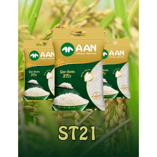 Gạo Thơm ST21 A AN Túi 5Kg - Đặc sản Sóc Trăng - Thơm hoa lài nhẹ, cơm ngọt, rất dẻo, để nguội vẫn mềm