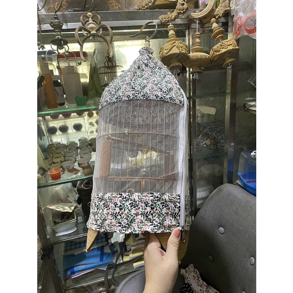 Áo khuyên pha lưới