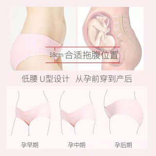 Sét 2 Quần lót bầu cotton cạp chéo Sping túi zip