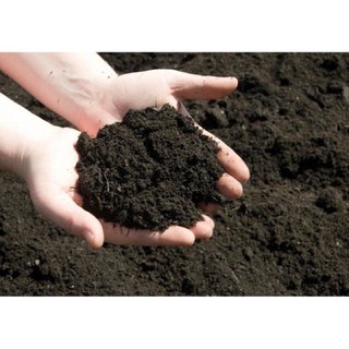 đất sạch trồng cây _ 1kg