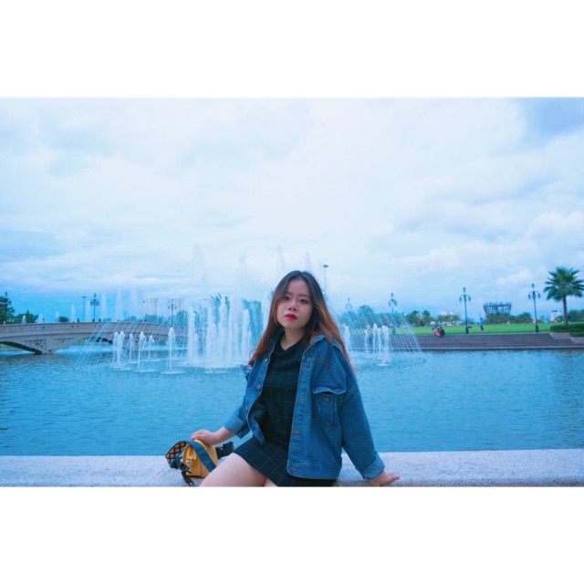 dongocanhlinh